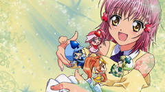 Shugo chara Anime