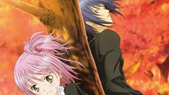 Shugo chara Anime