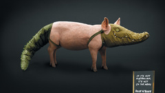 Signs masks Crocodiles pigs