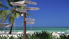 Signs tropical palm trees