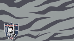 Silber ace combat zero