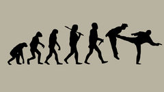 Silhouettes Evolution fighters