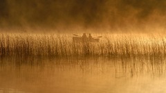 Silhouettes ships sepia swamp