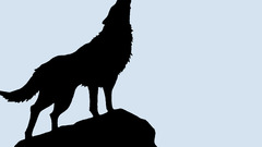 Silhouettes vectors wolfs rain