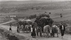 Silver Greek Print Costa 1964 gelatin peasants manos