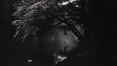 Silver Print John breast led gelatin bullock