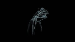 Simple abstract black background cartoons puppet Xray kermit 