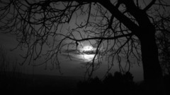 Simple and sad high Resolution spxinsane