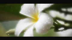 Simple Blur by brulf