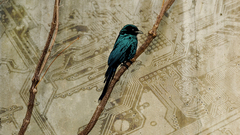 Simple Circuit boards myself make did shoop because