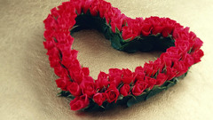 Since Nobody seems to