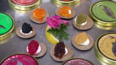 Six types of caviar