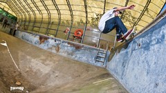 Skateboarding skates