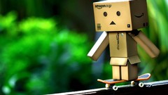 Skateboards danboard