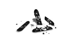 Skateboards white background