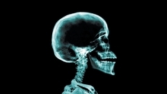 Skeleton top The body