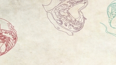 Sketches biology multiscreen simple