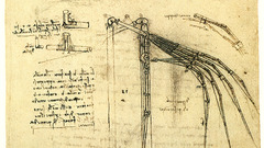 Sketches diagram Da Vinci