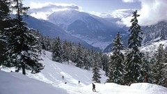 Skiing Alps Swiss