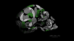 Skill and Bones 2009