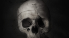 Skull abstract