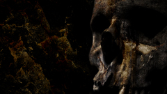 Skull Now and skullwall