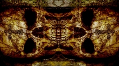 Skullface copy just interesting