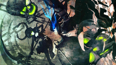 Skulls black rock shooter