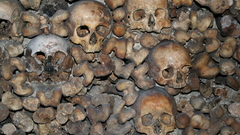 Skulls Bones