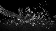 Skulls glass broken glass