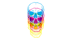 Skulls multicolor white background