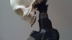 Skulls sculptures R. Lloyd