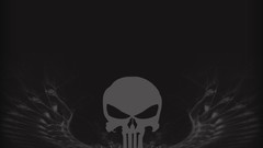 Skulls The Punisher marvel