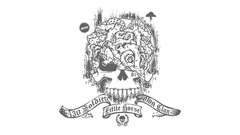 Skulls white background