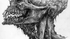 Skulls zombies anatomy flesh