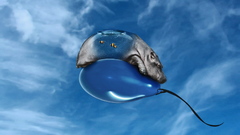 Sky abstract hippo hippopotamus