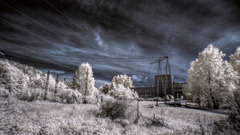 Skyscapes Trees Industrial