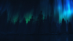 Skysong forest nature