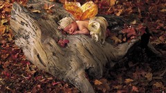 Sleeping babies forests Anne Geddes