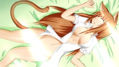 Sleeping blush nekomimi censored animal ears soft shading open 