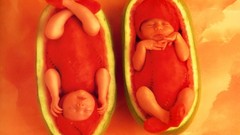 Sleeping watermelons fruits babies Anne Geddes