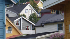 Slightly blurry at This