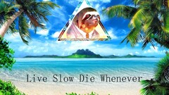 sloths digital art Typography palm trees