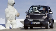 Smart Fortwo polar Bears