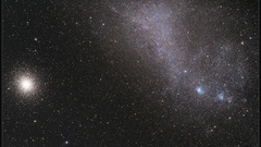 Smc jarzyna wow wanna