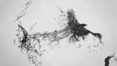 Smoke Birds wings artwork Simple Background grayscale messenger