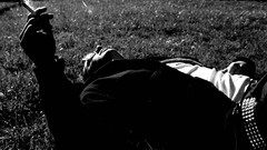 Smoke grass summer sunlight