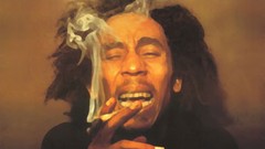 Smoking smoke bob marley