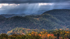 Smoky mountain autumn nature