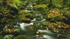Smooth river autumn fall